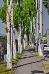 Similar image 21905312