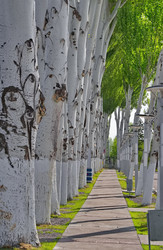 Similar image 21905313