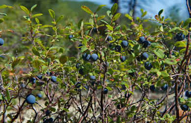 Similar image 21905314