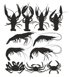 Similar image 21908005