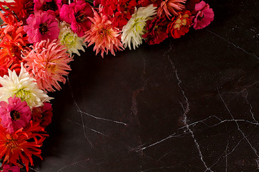 Similar image 21904959