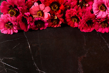 Similar image 21904960