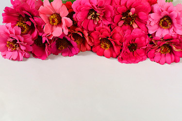 Similar image 21904961