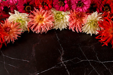 Similar image 21904962