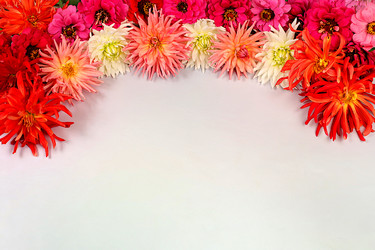 Similar image 21904963