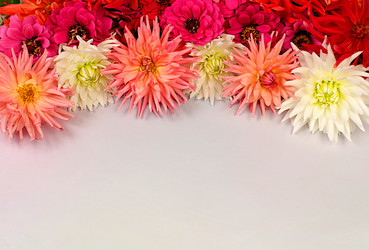 Similar image 21904964