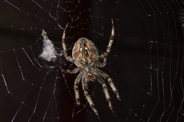 Similar image 21904814