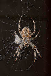 Similar image 21904815