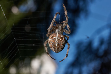 Similar image 21904817