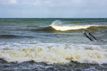 Similar image 21907221