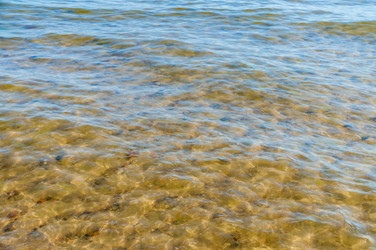 Similar image 21906643