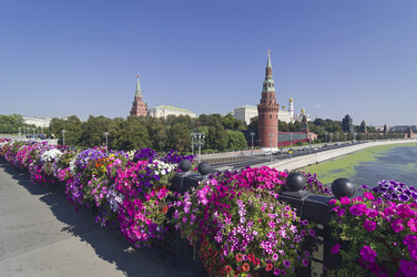 Similar image 21904772