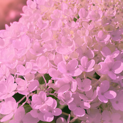 Similar image 21907234