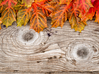 Similar image 21909051