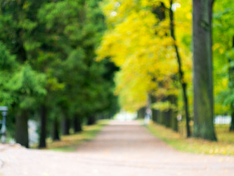 Similar image 21909052