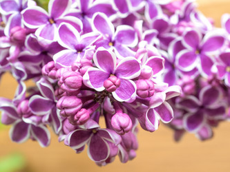 Similar image 21909053