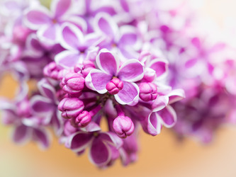 Similar image 21909055