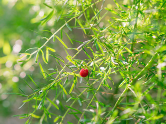 Similar image 21909059