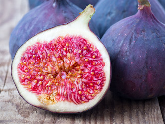 Similar image 21909079