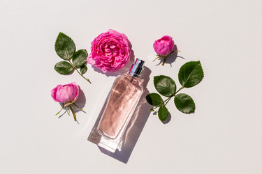 Similar image 21904819