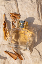 Similar image 21904829