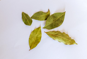 Similar image 21905129