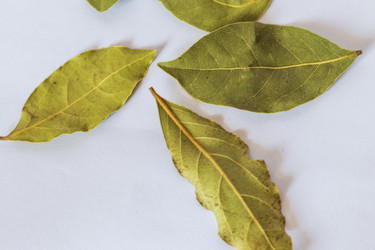 Similar image 21905130