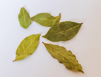 Similar image 21905131