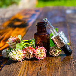 Similar image 21906645