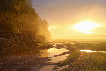 Similar image 21906648