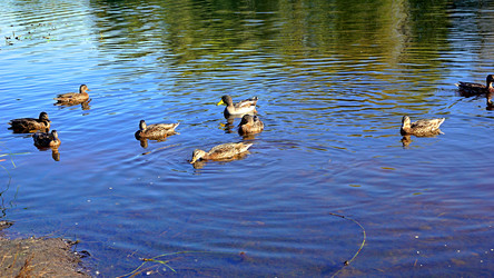 Similar image 21906652