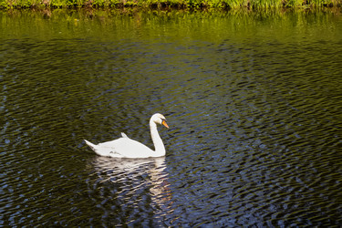 Similar image 21907024