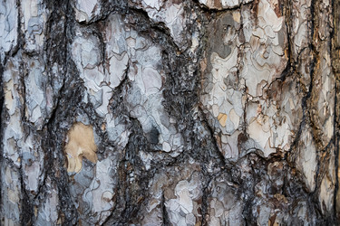 Similar image 21907029