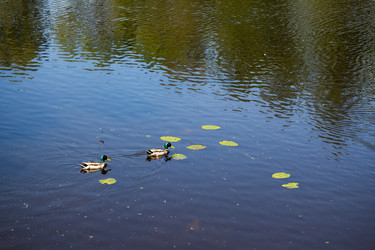 Similar image 21907031