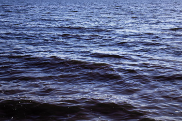 Similar image 21907032