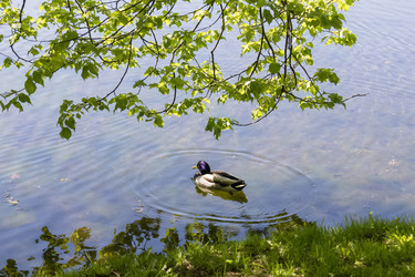 Similar image 21907033