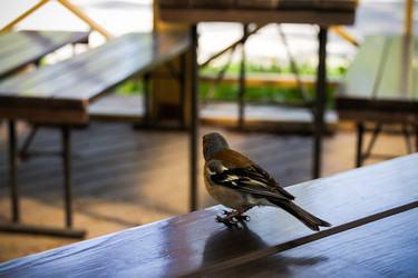 Similar image 21907034