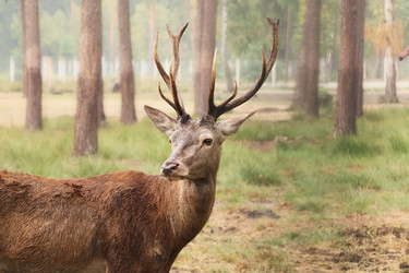 Similar image 21906656