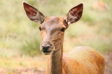 Similar image 21906658