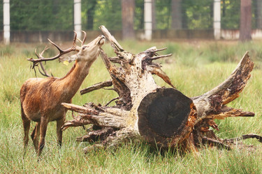 Similar image 21906659