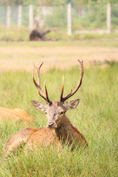 Similar image 21906660