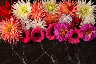 Similar image 21907040