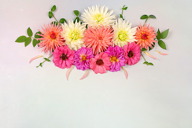 Similar image 21907042