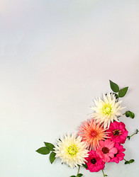 Similar image 21907043