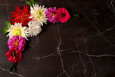 Similar image 21907044