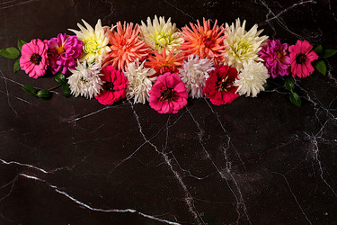 Similar image 21907045