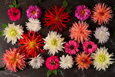 Similar image 21907046