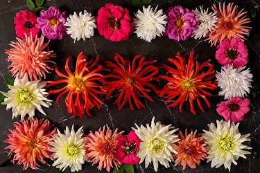 Similar image 21907047