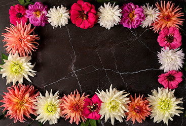 Similar image 21907049