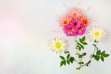 Similar image 21907050